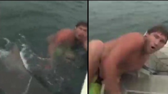 PAMJET TMERRUESE/ Burri i shpëton sulmit të peshkaqenit, në momentin e fundit ngjitet në varkë