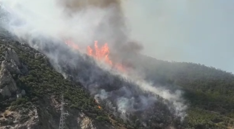 TJETËR VATËR ZJARRI NË LEZHË/ Digjet një sipërfaqe pyjore pranë Urës së Zogut