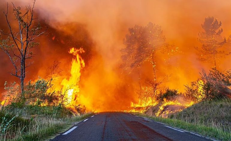 I NXEHTI APOKALIPTIK DJEG EVROPËN/ Temperatura rekord prej 44 gradë celcius në Francë. Shënohen mbi 1 mijë vdekje në Spanjë dhe Portugali