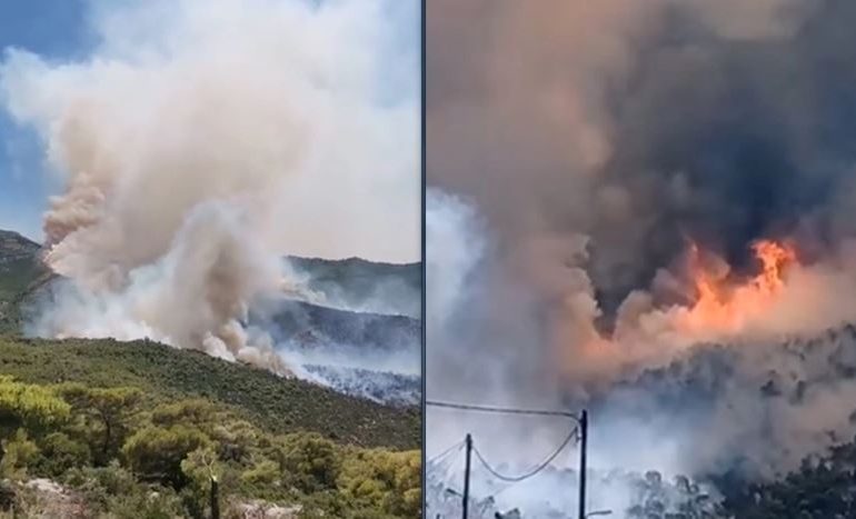 ZJARR I MADH NË GREQI/ Flakët shumë afër shtëpive, urdhër për evakuim