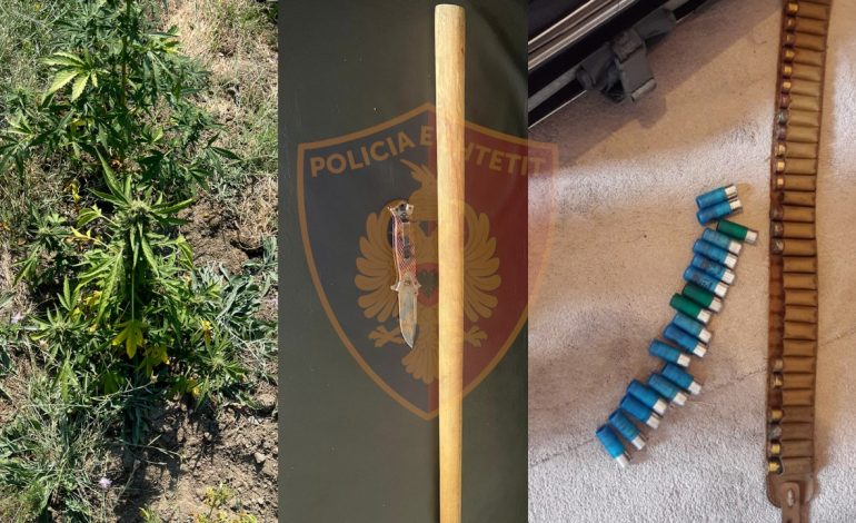 U RRAHËN ME THIKA E SHKOPINJ/ Arrestohen dy persona në Lezhë, policia u zbulon edhe parcelën me kanabis
