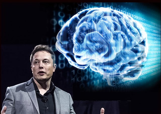 PARASHIKIMET e “frikshme të Elon Musk për vitin 2022
