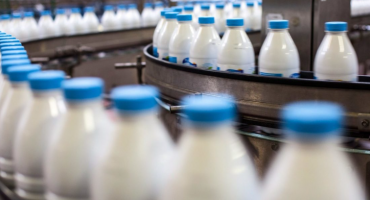 DUKE FILLUAR NGA 1 GUSHTI/ Çmimet e qumështit dhe kosit u rritën me 11%, krizë për djathë në treg