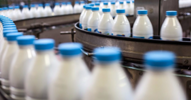 DUKE FILLUAR NGA 1 GUSHTI/ Çmimet e qumështit dhe kosit u rritën me 11%, krizë për djathë në treg