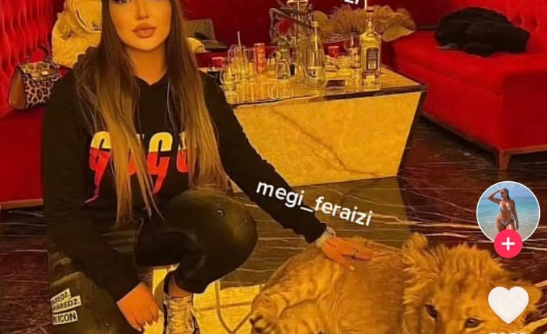 “VISI NUK VDES KURRË”/ Kushërira e Martinaj poston VIDEON me luanin: Dhurata që na la…