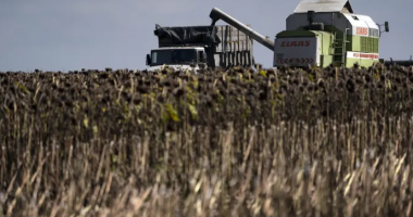 KRIZA USHQIMORE/ Shtatë anije të tjera me produkte bujqësore largohen nga portet e Ukrainës
