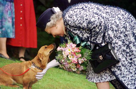 PAS VDEKJES SË MBRETËRESHËS/ Princi Andrea dhe Sarah Ferguson do të kujdesen për qentë e saj