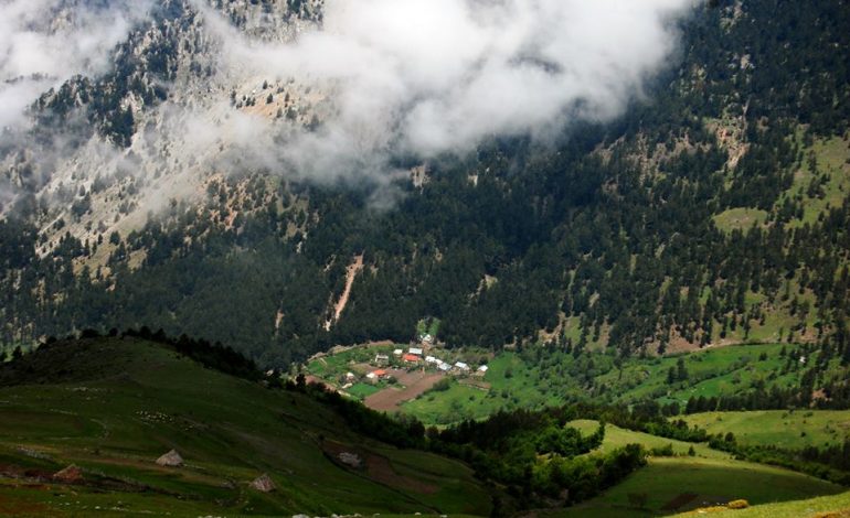U NIS PËR TË MBLEDHUR BORONICË NË BJESHKË/ Zhduket 23-vjeçari nga Kukësi