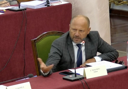 “MOS MË BËJ MUA SI PAPAGALL, O SHOKU POLIC”/ Xhelal Mziu përplaset me Pjerin Ndreun në komisionin për Territorialen: Je dru fare…