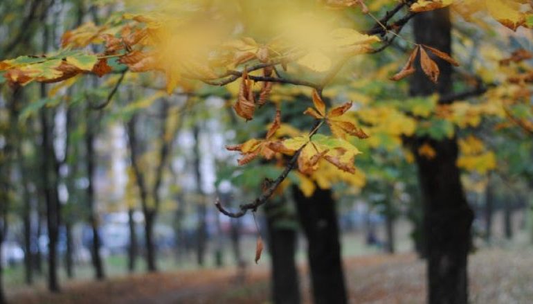 ULJE E NDJESHME E TEMPERATURAVE/ Parashikimi i motit për sot