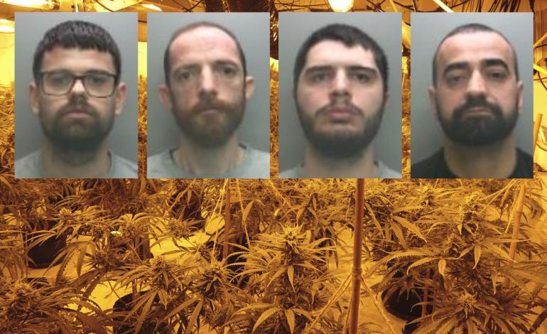 SHTËPI BARI PRANË GJYKATËS/ Policia britanike kap mat shqiptarët duke gatuar makarona, zbulohet kanabis me vlerë 1.6 mln paund