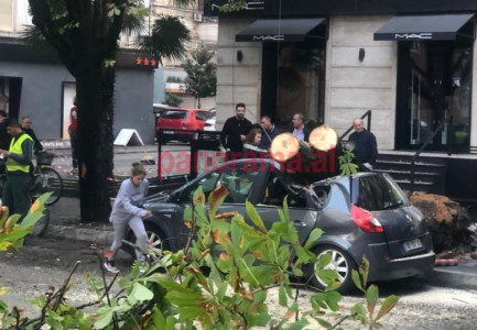 FOTOLAJM/ Rrëzohet pema në qendër të Tiranës, shkatërron plotësisht makinën e parkuar anës rrugës
