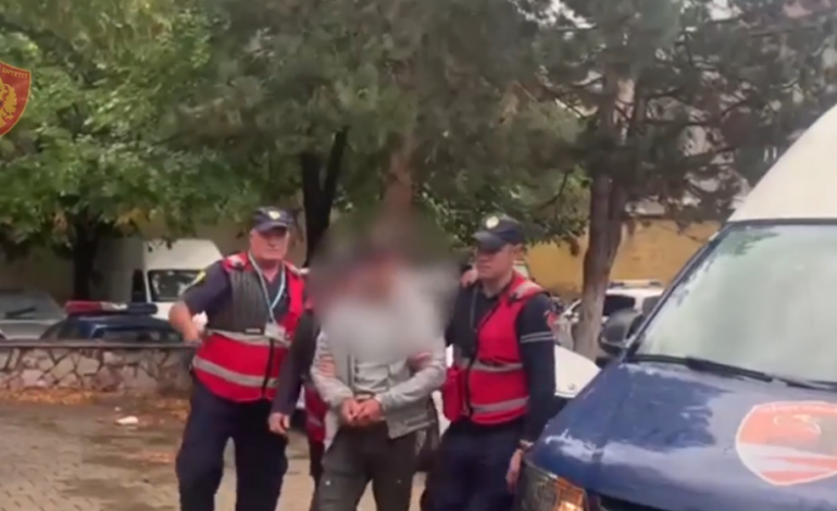 PAMJET DHE EMRI/ Sekuestrohen armë zjarri dhe municion luftarak, arrestohet 31-vjeçari