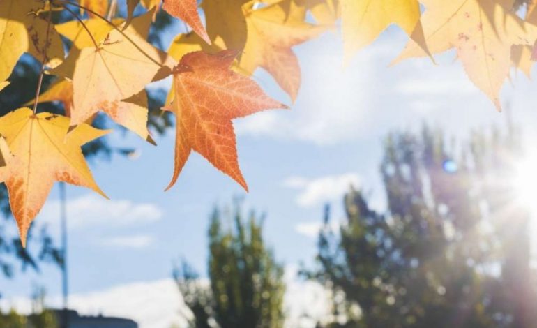 RRITJE E LEHTË E TEMPERATURAVE/ Parashikimi i motit për sot