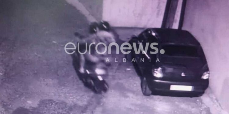 VRASJA E 19-VJEÇARIT NË SHKODËR/ Del FOTO e autorëve që largohen me motoçikletë