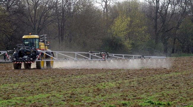 STUDIMI/ Një në tre persona kanë të pranishme pesticide në flokë. Ja vendi i parë në Europë për konsumin e tyre
