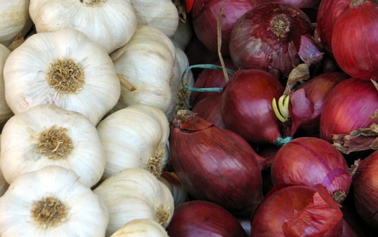 HUDHRA DHE QEPA/ Pija magjike si ilaç kundër shumë sëmundjeve