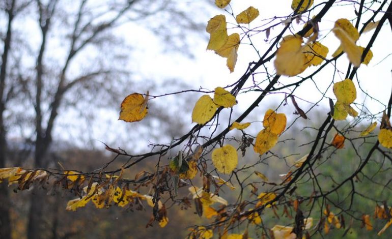 TEMPERATURAT SHKOJNË DERI NË 27 GRADË/ Si parashikohet të jetë moti këtë të shtunë