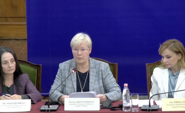RAPORTI PËR SHQIPËRINË/ Ambasadorja e BE në Këshillin e Integrimit: Amnistia fiskale rrezikon progresin, SPAK të vazhdojë detyrën
