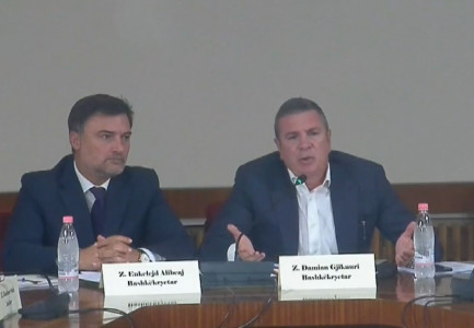 DEBAT TEK KOMISIONI I REFORMËS ZGJEDHORE/ Alibeaj: Ne si opozitë na bashkon një gjë, që këta zgjedhjet i vjedhin. Gjiknuri: Gati ta pranoj dështimin tim për qetësinë e opozitës…