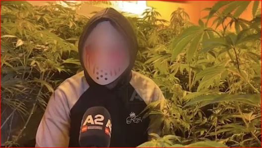 “REKRUTOHEN PËR TË PAGUAR RRUGËN E VAJTJES”/ DailyMail: Shqiptarët i drejtohen “shtëpive të barit” 3 ditë pasi mbërrijnë në Angli