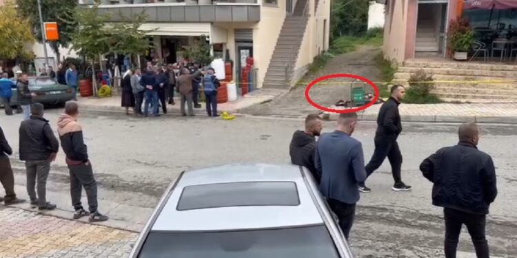DEL VIDEO/ Pak pas VRASJES në Klos, gruaja shpërthen në britma mbi trupin e adoleshentit
