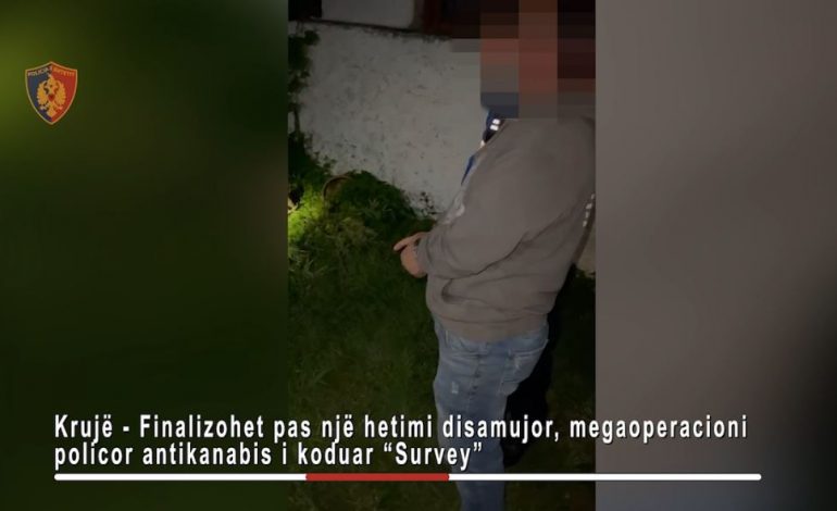 EMRAT DHE DETAJET/ Sekuestrohet drogë, parcela me kanabis, euro dhe makina, 5 të arrestuar në Krujë