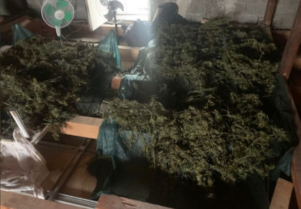 “SHTËPIA E BARIT” NË SHKODËR/ Nga shefi te ‘kopshtaret’, zbardhet roli i të prangosurve në veprimtarinë kriminale. Në burg e gjithë familja