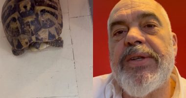 “MIRMËNGJES, QENKE ZGJUAR?” Rama ndan videon me breshkat: Javë të mbarë, me sa më shumë shi