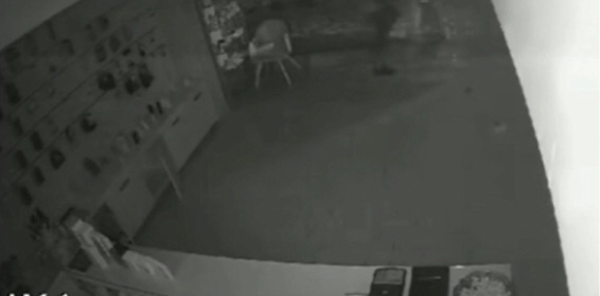 TË MASKUAR ME KAPUÇ/ Dalin pamjet nga vjedhja e dyqanit me pajisje elektronike në Vlorë