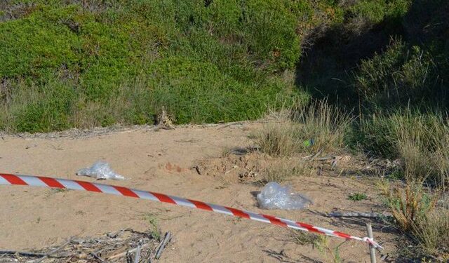 DETAJET/ E masakruan dhe e groposën në plazh. Zbulohet EMRI i të riut nga Gramshi që u vra në Greqi