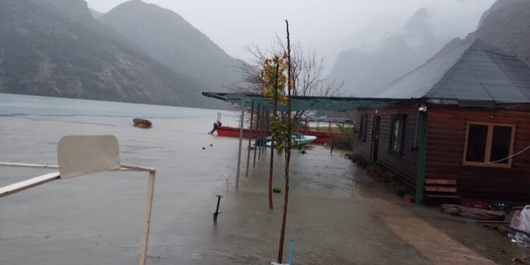 RESHJET INTESIVE/ Niveli i Liqeni Komanit pëson rritje të pazakontë, përmbyt biznesin në fshatin Berishë