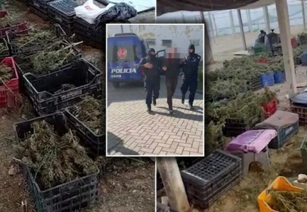 SERAT ME DROGË NË BERAT/ Nën hetim 57 policë. Nga drejtori tek efektivët e thjeshtë, dyshime se “bënë një sy qorr” për aktivitetin kriminal