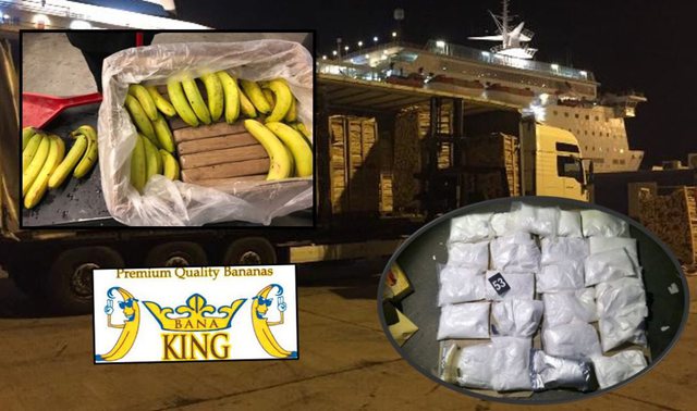 KOKAINA MES BANANEVE/ Reagon kompania: S’kemi asnjë përgjegjësi, grupet kriminale po përdorin linjën pa dijeninë tonë