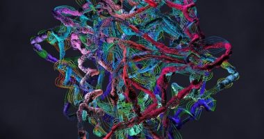 HISTORIKE/ Zgjidhet një ndër misteret më të mëdha në Biologji