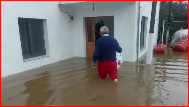 MOTI I KEQ/ Shqipëria nën pushtetin e ujit, përmbyten shtëpitë në Elbasan e Shkodër, dhjetëra pemë të shkulura