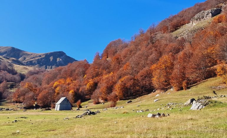 DITA E PARË E NËNTORIT NIS E KTHJELLËT DHE ME TEMPERATURA…/ Por çfarë ka rezervuar moti në vijim