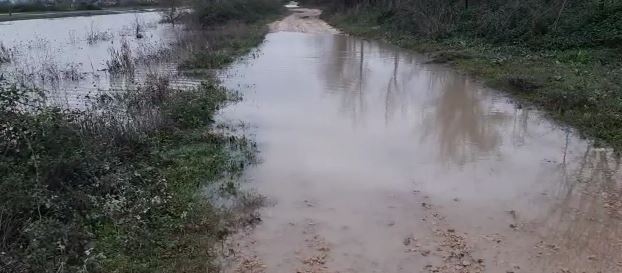 TOKAT ENDE TË PËRMBYTURA/ Ulet niveli i Lumit Ishëm në Fushë-Krujë