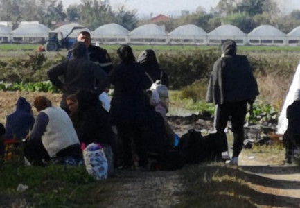 “PAZARI ISHTE I MIRË…”/ Nga Tirana në Berat për të punuar në fermën e kanabis, rrëfimi i grave! Detajet nga dosja: Punë sfilistëse, aroma e fortë e hashashit…
