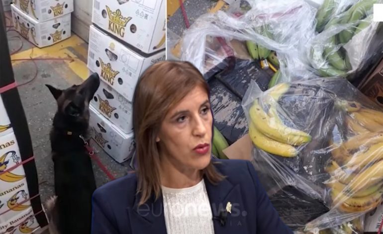 KOKAINA E “BANA KING”/ Gazetarja: Këtë herë ishte mes bananeve, kompania implikohet rëndë