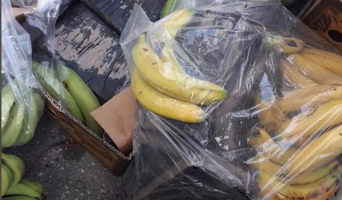 ANIJA ISHTE NISUR…/ Telefonata anonime që zbuloi kokainën në banane, 30 kontenierë të tjerë në radhë për…