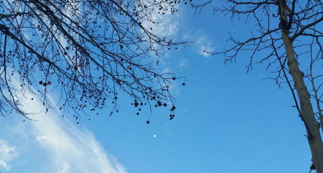RRITJE TEMPERATURASH DHE RESHJE SHIU/ Parashikimi i motit për sot