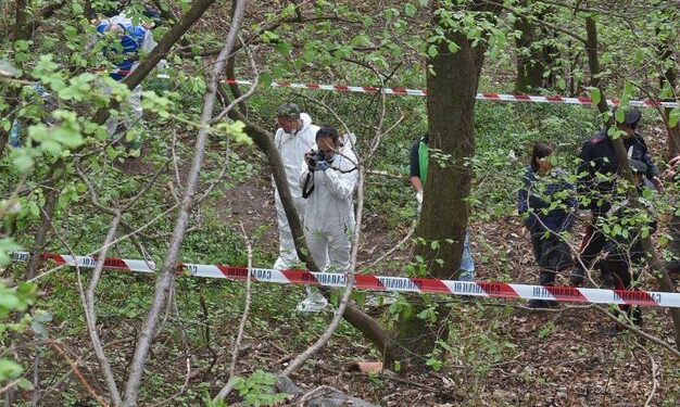 “ASGJË NUK HARROHET”/ Zbardhet pas 5 vitesh vrasja në Tiranë, identifikohet kufoma e djegur