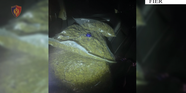 EMRAT/ Transportonin 85 kg kanabis në Fier, arrestohet në flagrancë 25-vjeçari dhe shpallet në kërkim një tjetër