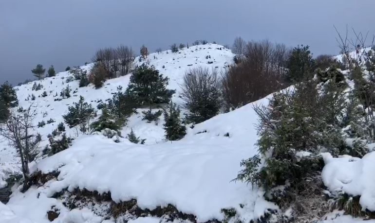ULJE TEMPERATURASH/ Malësia e Krujës mbulohet nga bora, në disa zona trashësia shkon deri në 7 cm