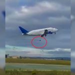 PAMJET/ Avionit i këputet një nga rrotat sapo niset nga Italia, përfundon në një vresht me rrush