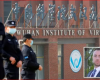 “E DI ÇFARË KA NDODHUR”/ Zbulimi tronditës i shkencëtarit: Kam punuar në laboratorin e Wuhan…