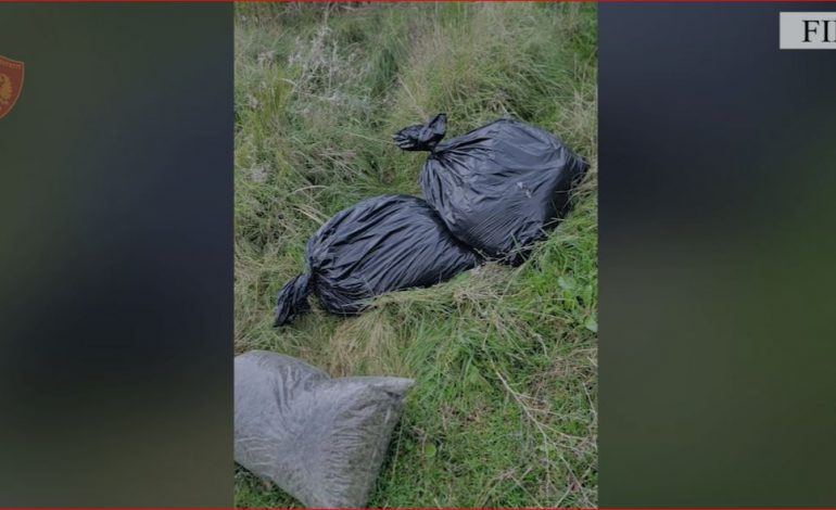 EMRAT/ Arrestohen 3 persona në Fier, sekuestrohen 17 thasë me kanabis, në hetim edhe dy të mitur