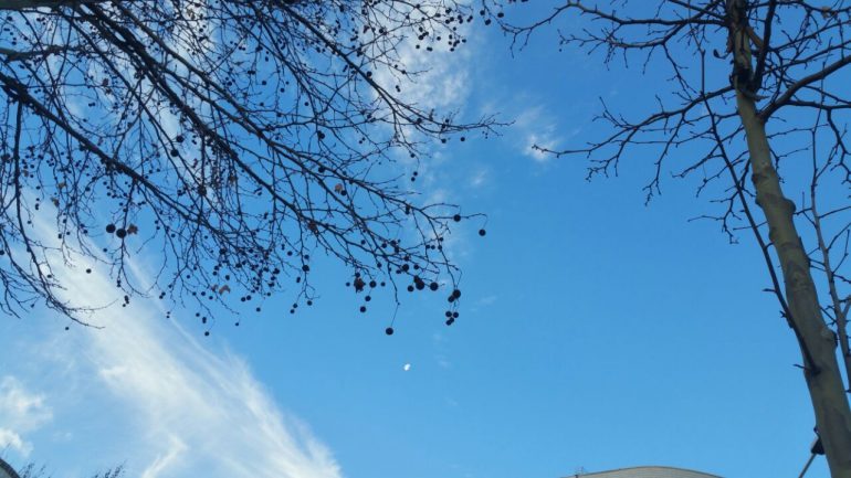 KTHJELLIME DHE TEMPERATURA DERI NË 18 GRADË/ Parashikimi i motit për ditën e sotme