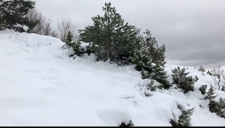 MOTI I KEQ/ Bllokohet aksi i rrugës së Arbrit! Pezullohet sërish mësimi në 2 shkolla në Lezhë! Disa fshatra në Krujë…